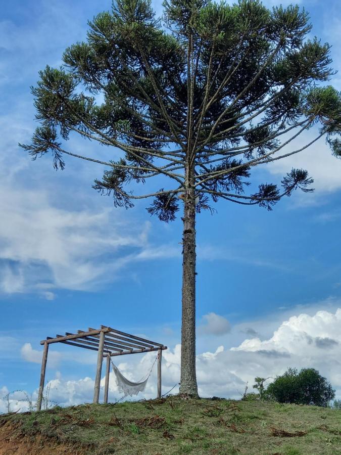 Celeiro Guarapuava, 4 Quartos, Paz E Tranquilidade Экстерьер фото